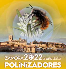 Zamora 2022: el ao de los polinizadores