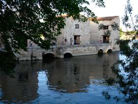 Las Aceas de Olivares